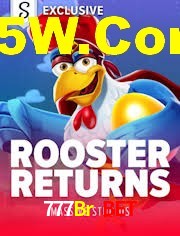 Sports Statistics 777Br Bet